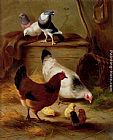 Chickens Wall Art - Pigeons And Chickens